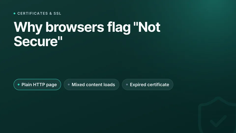 Why browsers show "Not Secure": causes and fixes